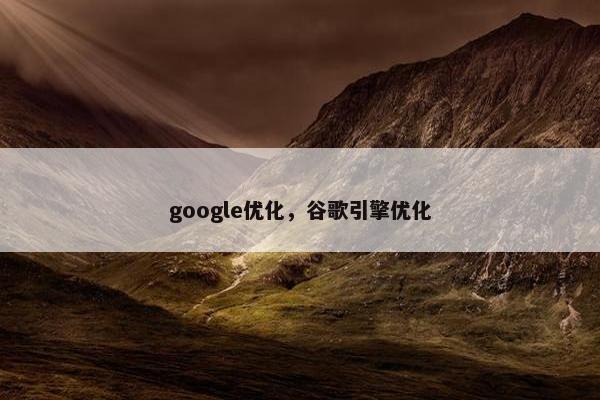 google优化，谷歌引擎优化