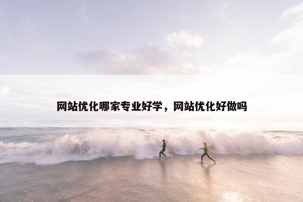 网站优化哪家专业好学，网站优化好做吗