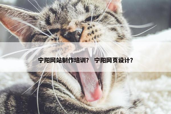 宁阳网站制作培训？ 宁阳网页设计？