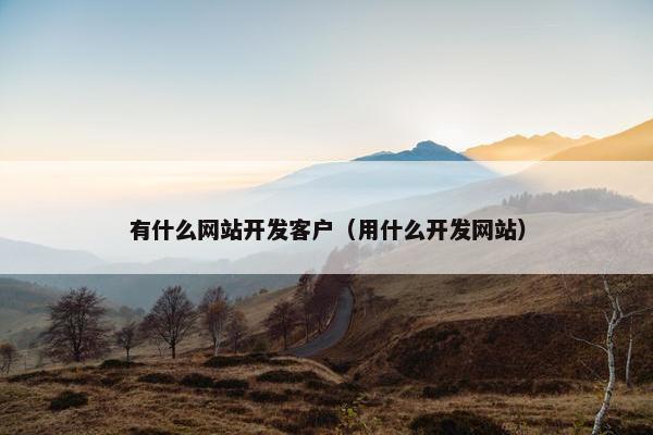 有什么网站开发客户（用什么开发网站）