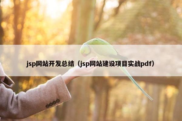 jsp网站开发总结(jsp网站建设项目实战pdf) jsp网站开发总结(jsp网站建设项目实战pdf)