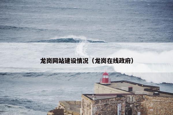 龙岗网站建设情况（龙岗在线政府）