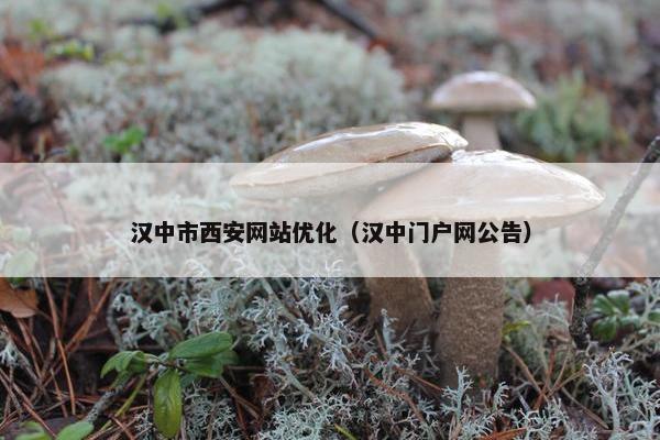 汉中市西安网站优化（汉中门户网公告）