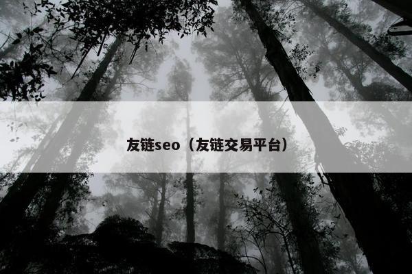 友链seo（友链交易平台）