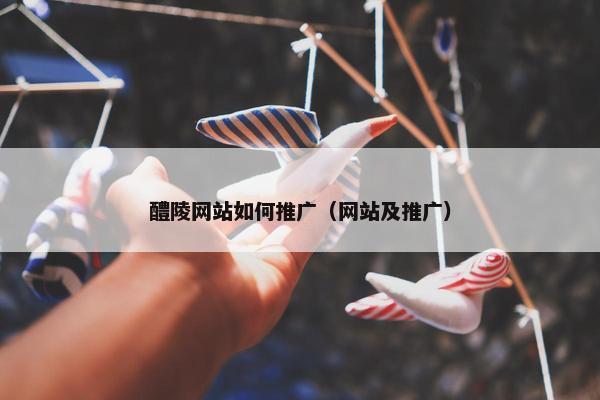 醴陵网站如何推广（网站及推广）