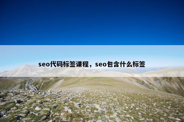 seo代码标签课程，seo包含什么标签