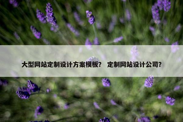 大型网站定制设计方案模板？ 定制网站设计公司？