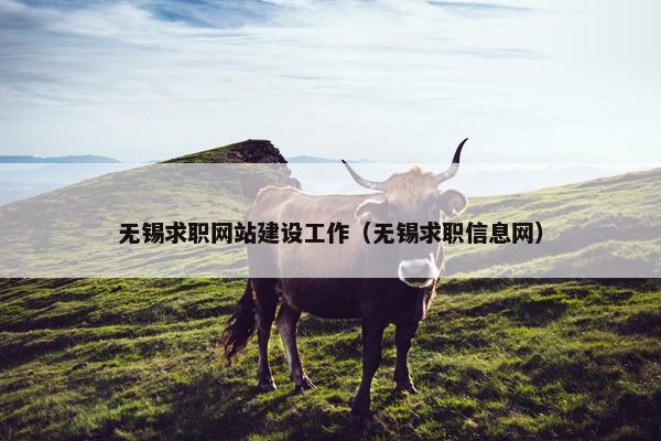 无锡求职网站建设工作（无锡求职信息网）
