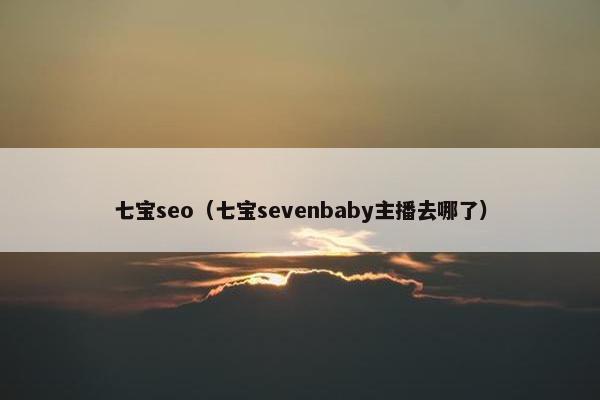 七宝seo（七宝sevenbaby主播去哪了）