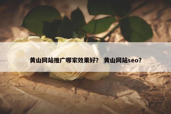 黄山网站推广哪家效果好？ 黄山网站seo？
