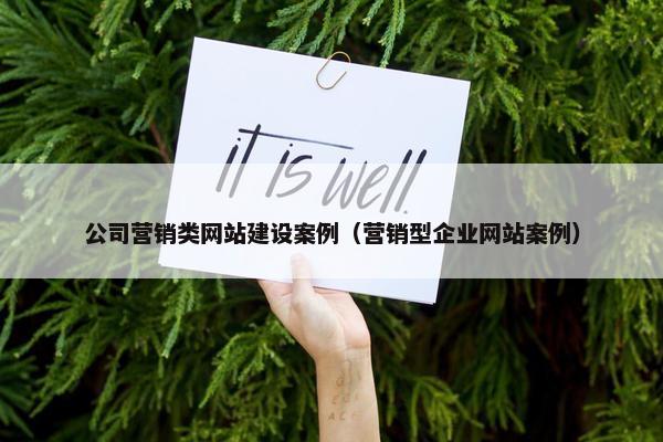 公司营销类网站建设案例（营销型企业网站案例）