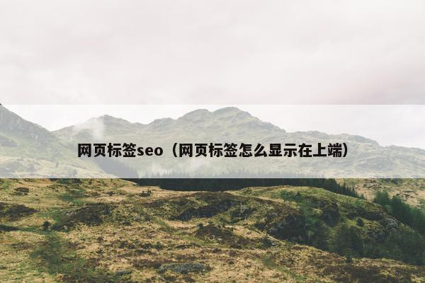 网页标签seo（网页标签怎么显示在上端）