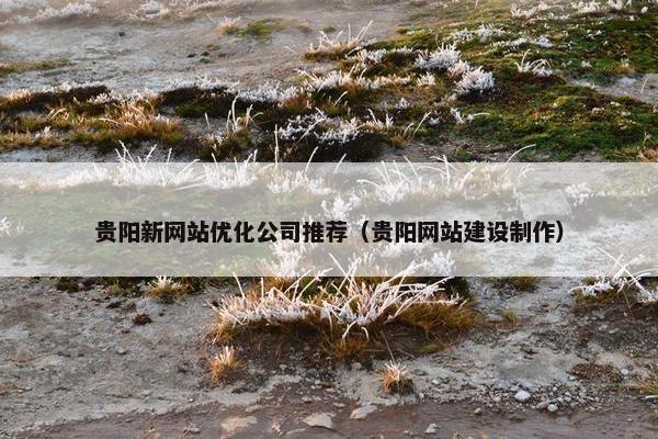 贵阳新网站优化公司推荐（贵阳网站建设制作）
