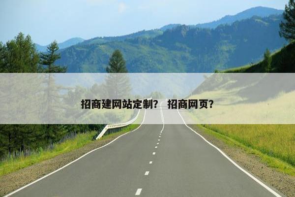 招商建网站定制？ 招商网页？