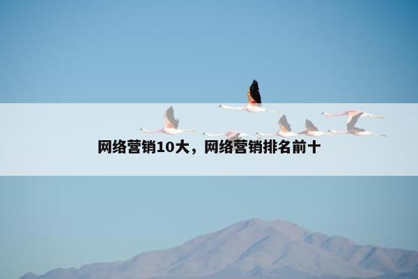 网络营销10大，网络营销排名前十