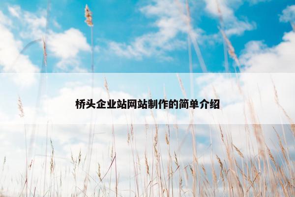 桥头企业站网站制作的简单介绍