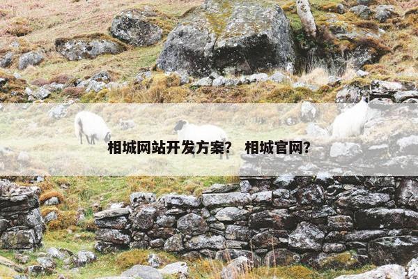 相城网站开发方案？ 相城官网？