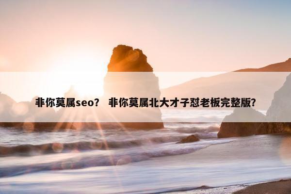 非你莫属seo？ 非你莫属北大才子怼老板完整版？
