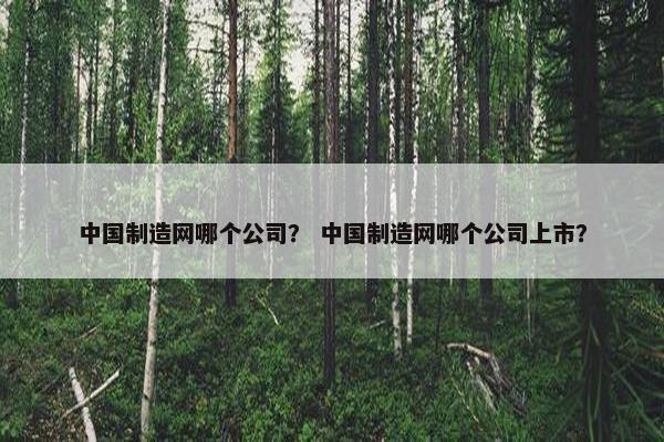 中国制造网哪个公司？ 中国制造网哪个公司上市？