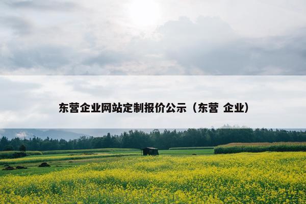 东营企业网站定制报价公示（东营 企业）