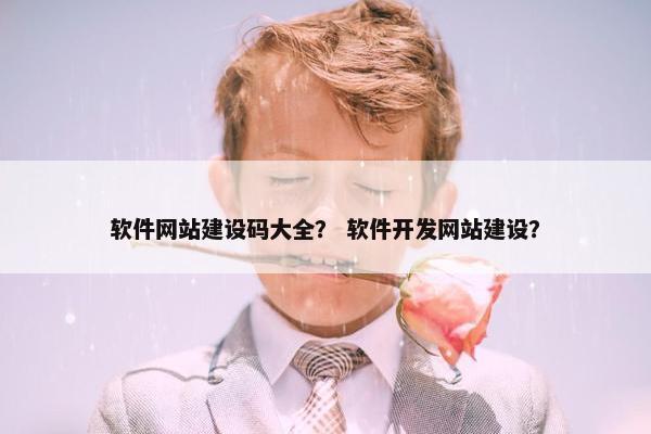 软件网站建设码大全？ 软件开发网站建设？