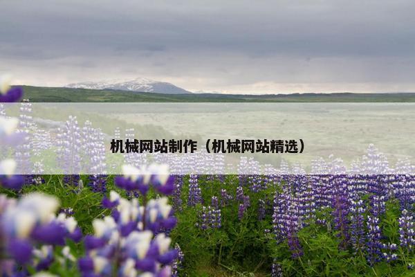 机械网站制作（机械网站精选）