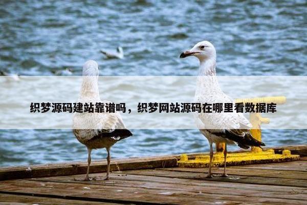 织梦源码建站靠谱吗，织梦网站源码在哪里看数据库