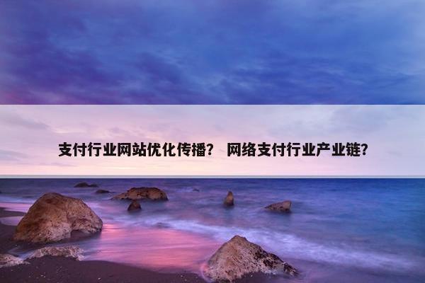 支付行业网站优化传播？ 网络支付行业产业链？