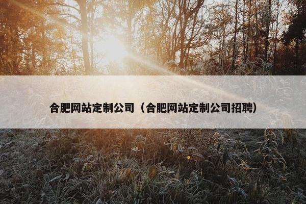 合肥网站定制公司（合肥网站定制公司招聘）