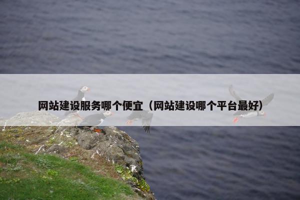网站建设服务哪个便宜(网站建设哪个平台最好) 网站建设服务哪个便宜(网站建设哪个平台最好)