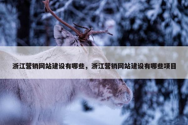 浙江营销网站建设有哪些，浙江营销网站建设有哪些项目