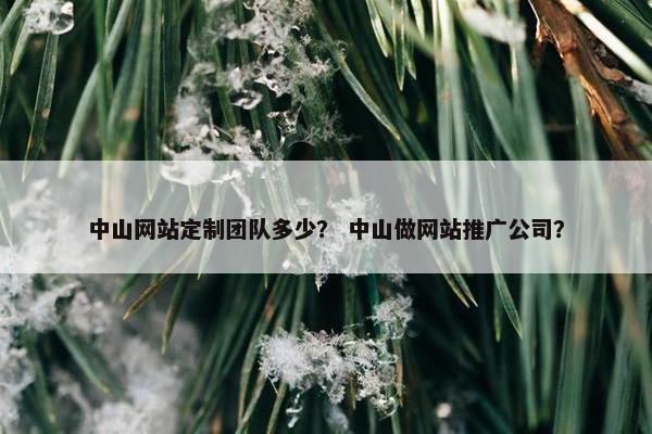 中山网站定制团队多少? 中山做网站推广公司? 中山网站定制团队多少? 中山做网站推广公司?