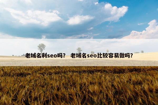 老域名利seo吗? 老域名seo比较容易做吗? 老域名利seo吗? 老域名seo比较容易做吗?