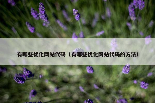 有哪些优化网站代码（有哪些优化网站代码的方法）