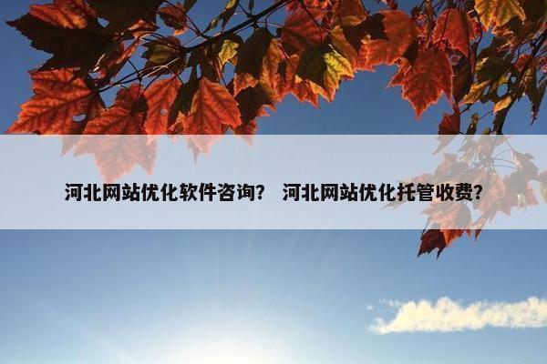 河北网站优化软件咨询？ 河北网站优化托管收费？
