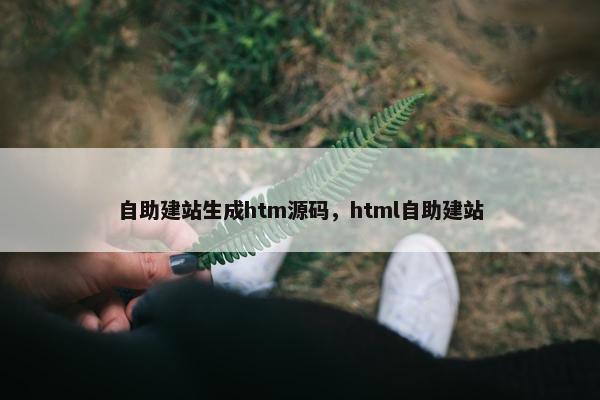 自助建站生成htm源码，html自助建站