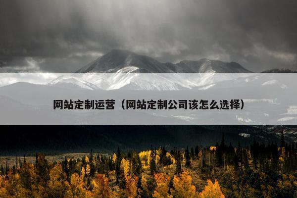 网站定制运营（网站定制公司该怎么选择）