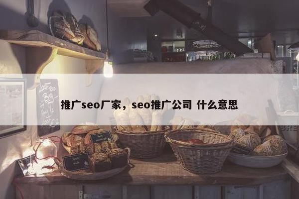 推广seo厂家，seo推广公司 什么意思