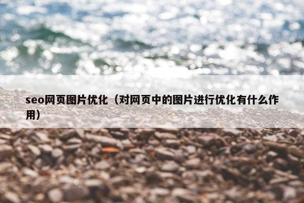 seo网页图片优化（对网页中的图片进行优化有什么作用）