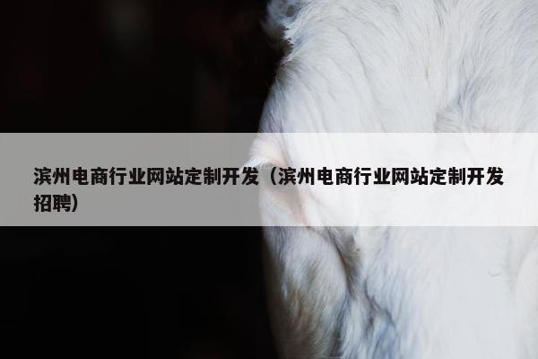滨州电商行业网站定制开发（滨州电商行业网站定制开发招聘）