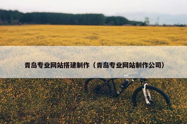 青岛专业网站搭建制作（青岛专业网站制作公司）
