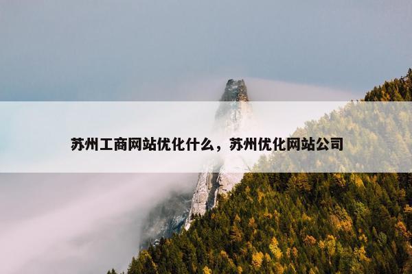 苏州工商网站优化什么，苏州优化网站公司