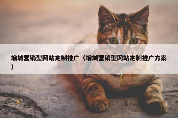 增城营销型网站定制推广（增城营销型网站定制推广方案）