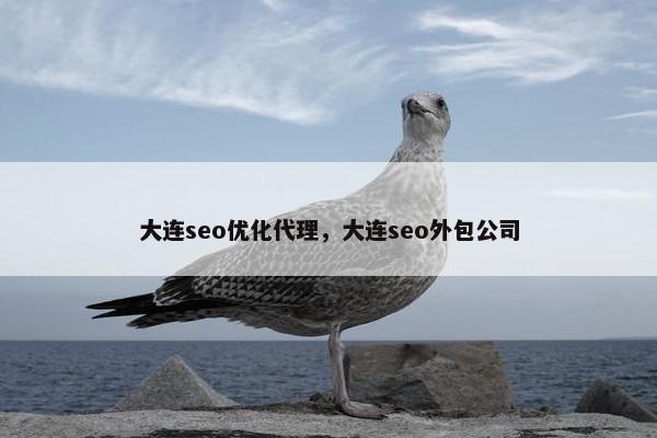 大连seo优化代理，大连seo外包公司