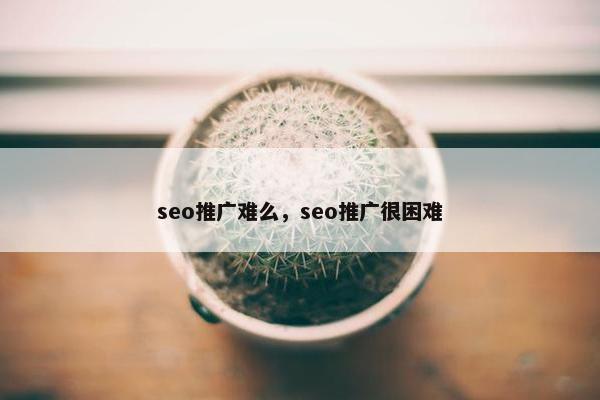 seo推广难么，seo推广很困难