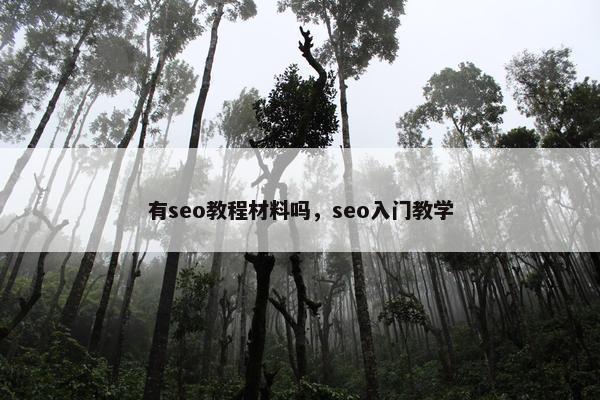 有seo教程材料吗,seo入门教学 有seo教程材料吗,seo入门教学