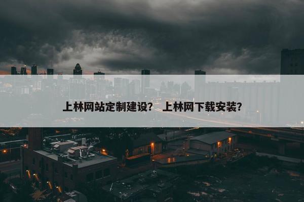 上林网站定制建设？ 上林网下载安装？