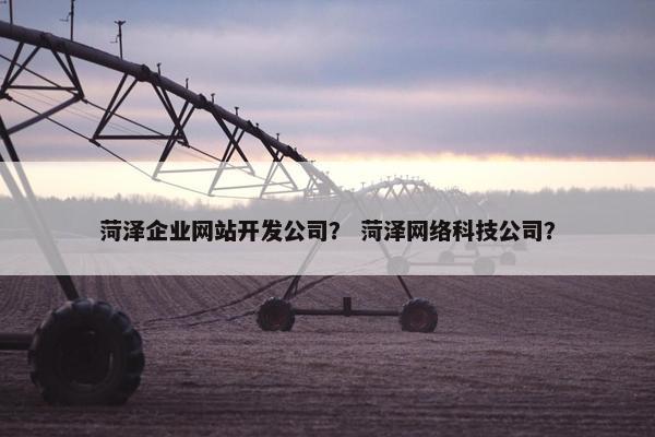 菏泽企业网站开发公司？ 菏泽网络科技公司？