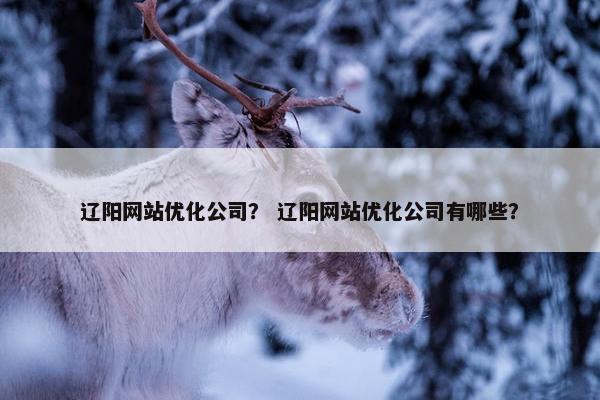 辽阳网站优化公司？ 辽阳网站优化公司有哪些？