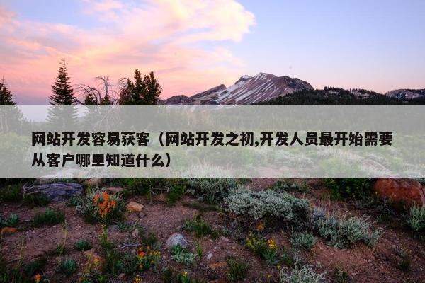 网站开发容易获客（网站开发之初,开发人员最开始需要从客户哪里知道什么）